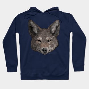 Coyote Hoodie